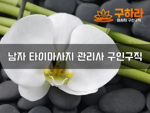 남자타이마사지관리사구인구직.webp